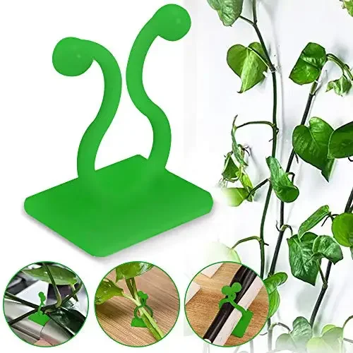 

Plant Climbing Wall Self-Adhesive Fixed Buckle Hook Fastener Fixator Vine Buckle Hook Rattan Fixed Clip Bracket Plant Stent Sup