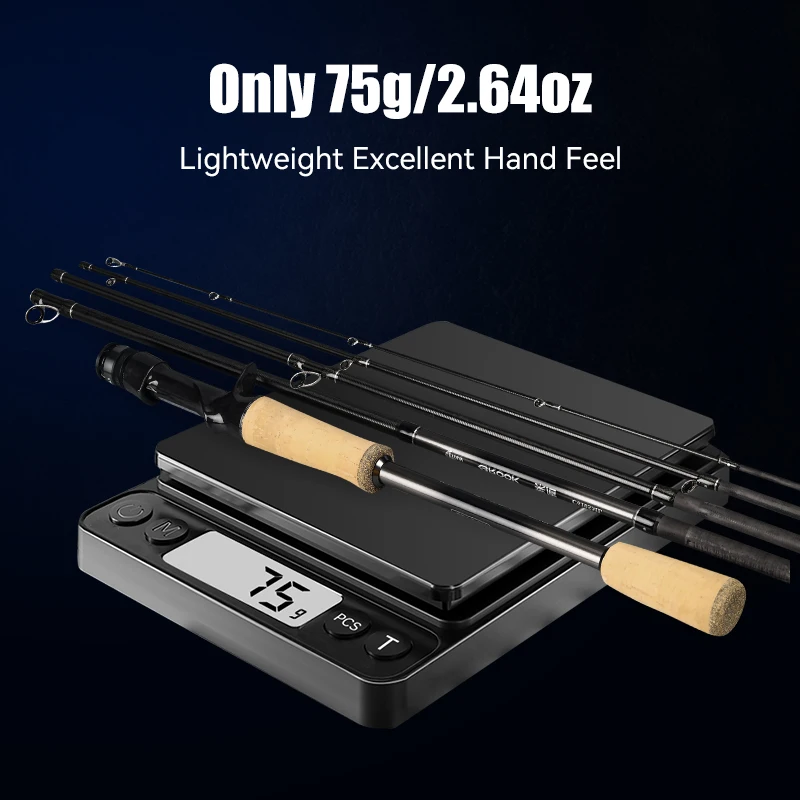 Leydun BROOK Super Light Fishing Rod 4+1 Section 74g MF Action