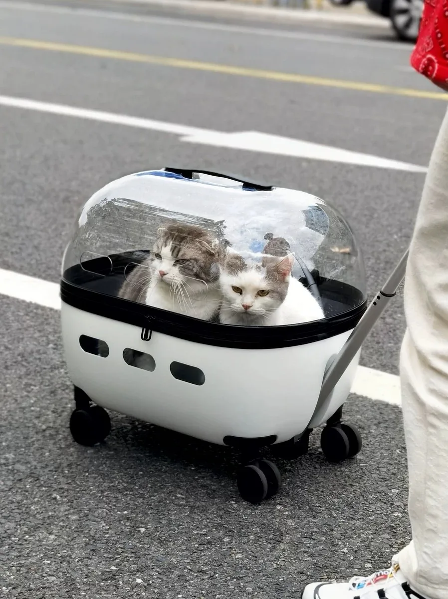 Haustier Trolley Katze Tasche Tragbare Katze Tasche Für Ausgehen Doppel Katze Haustier Kinderwagen Transparent Koffer Mit Großen Raum