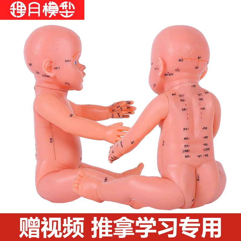 manichino-infantile-da-52-cm-bambola-per-bambini-manichino-agopuntura-infantile-modello-di-medicina-cinese-modello-di-simulazione-di-massaggio-pediatrico-dei-punti-di-agopuntura