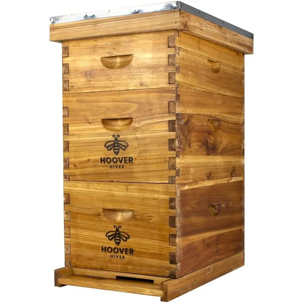 

8-Frame Beehive Kit with Wax Dipped Foundations and Wooden Assembled Boxes