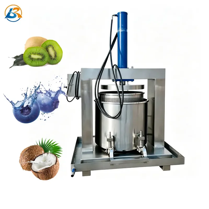 Commercial Hydraulic Juicer Large Capacity Fruit Processing Machine Heavy Duty Orange Juice Extractor for Business Use