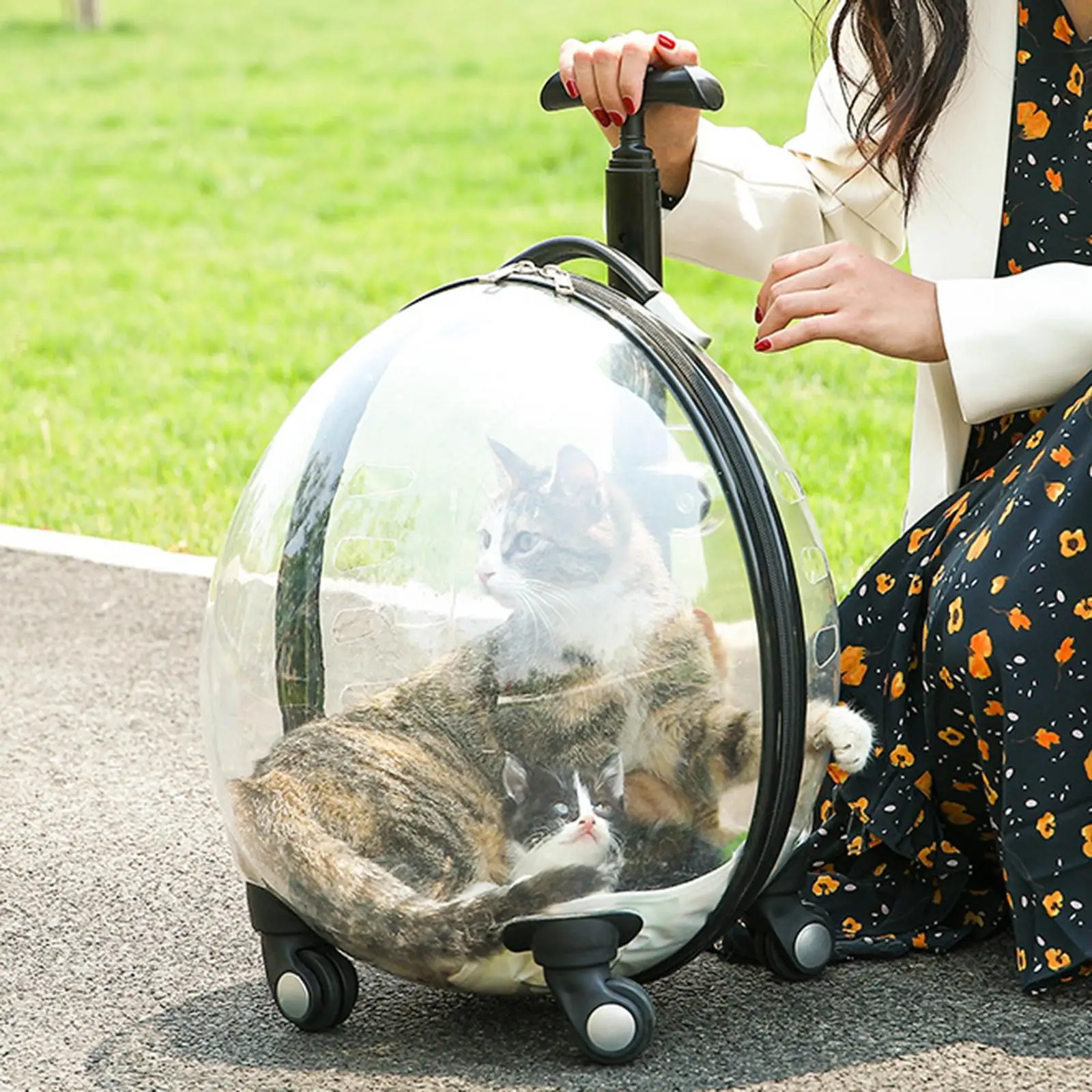 

Чехол на тележке для кошек, пузырьковая переноска для кошек, переноска для кошек и кроликов, для путешествий, пеших прогулок, прогулок