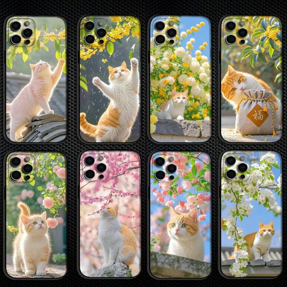 

Cats are cute and healing and fresh Phone Case For iPhone 16,15,14,13,12,11 Plus,Pro Max, Others Soft Black Cover