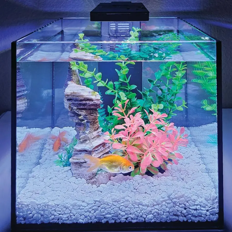 

Аквариум для мини-рыбок Betta на 3 галлона, комплект с погружным фильтром 2-в-1 и LED-подсветкой