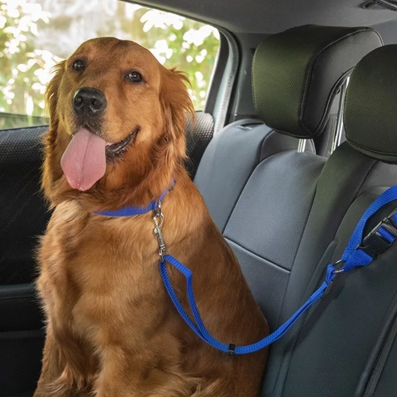 Outdoor Pet Sport Supplies Traction Rope in-vehicle Pet Fixation Safety Harness Circular Dog Cat Retractable Towing Rope image 3
