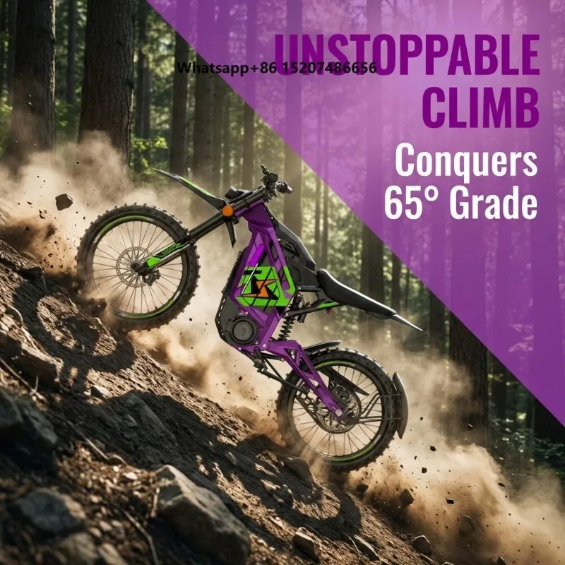 High Power Brushless Lithium E Motorcycle 65 Slope Climbing 85km Single Charge 6061 Aluminum Frame for Urban Commute off Road