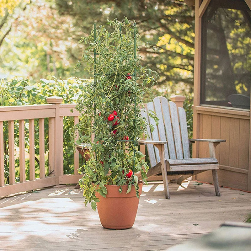 

DIY Plant Supports Vegetable Growing Frame Tomato Pole Plastic-Coated Steel Trellis 80/120/160cm Height 11mm Thick Plant Stakes