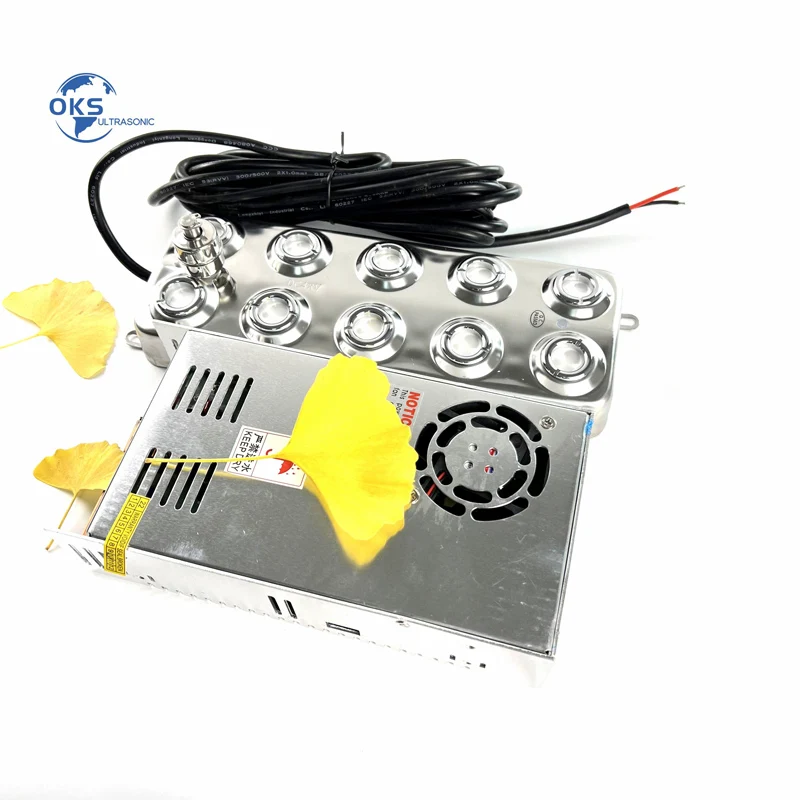 

10 Headed Ultrasonic Mist Maker Atomizing Transducer And Power
