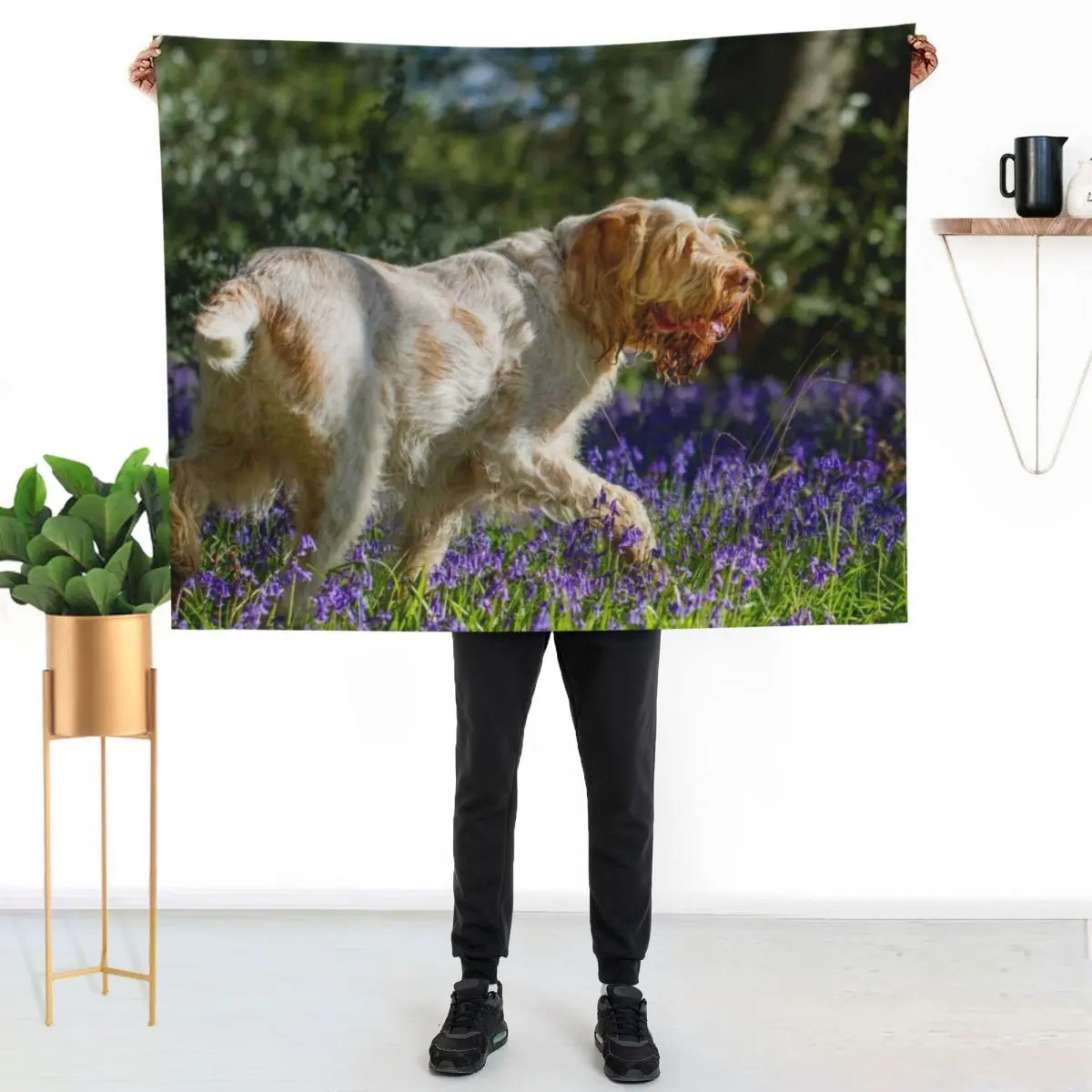 

Bluebell wood Spinone Throw Blanket Stylish Couch Blanket for Home Living Room