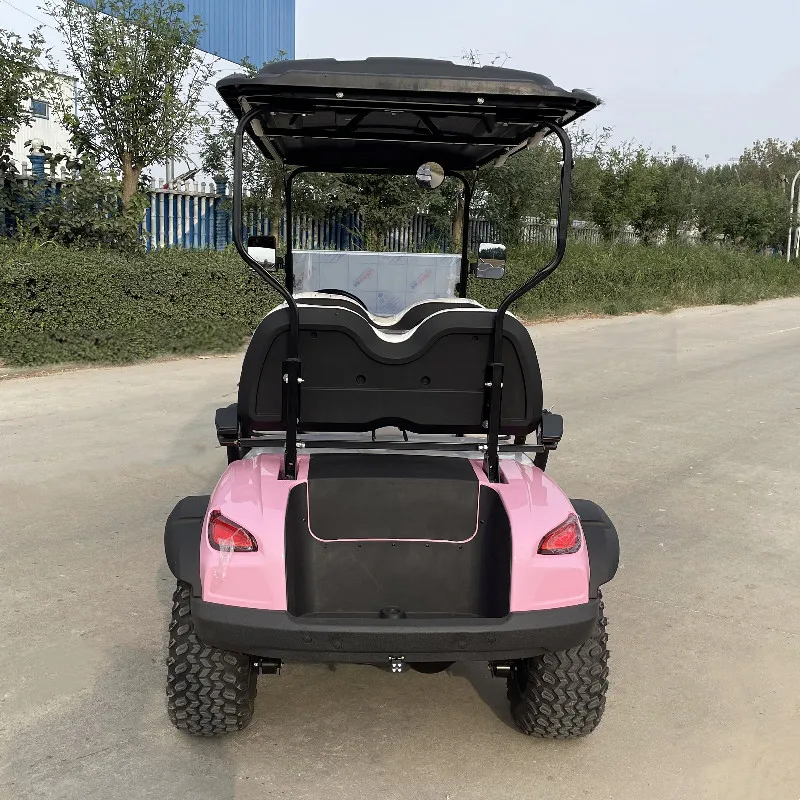

Wholesale Factory Price 4 Seater Electric Utility Double Arm Structure Golf Cart 4 Wheel Disc Brake 10 Inch Display