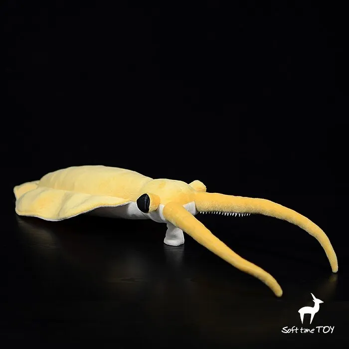 Palaeontological Series,Nectocaris Pteryx,Neck-Shrimp Knickknack,nicknack,Small Ornaments and Miniature Models
