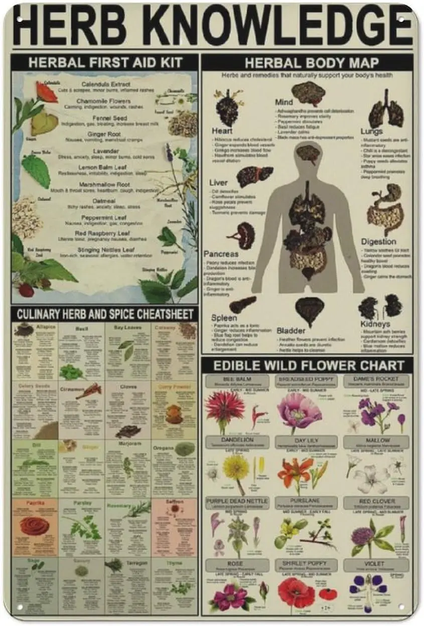 Herb Knowledge Metal Tin Signs Herbal First Aid Kit Infographic Poster Pharmacist Study Guide Tin Plaque Home Pharmacy Offi