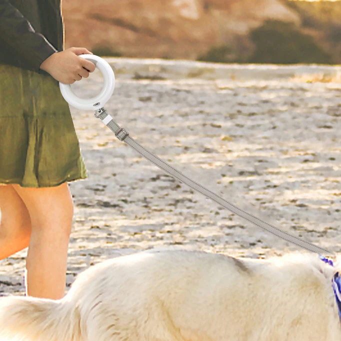 Correa retráctil con luz Led para mascotas, extensión automática de seguridad nocturna para perros grandes y medianos, gato, paseo, correr, casa inteligente