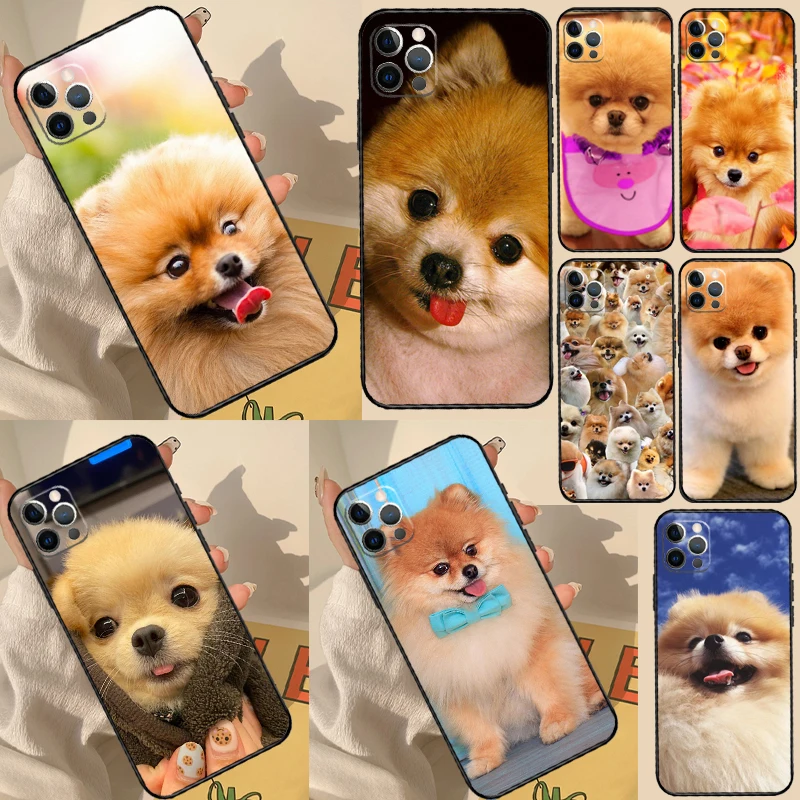 Pomeranian Dogs Dog Colorful Case For iPhone 11 12 13 14 15 16 Pro Max Cover For iPhone 13 12 Mini XR X XS Max Plus