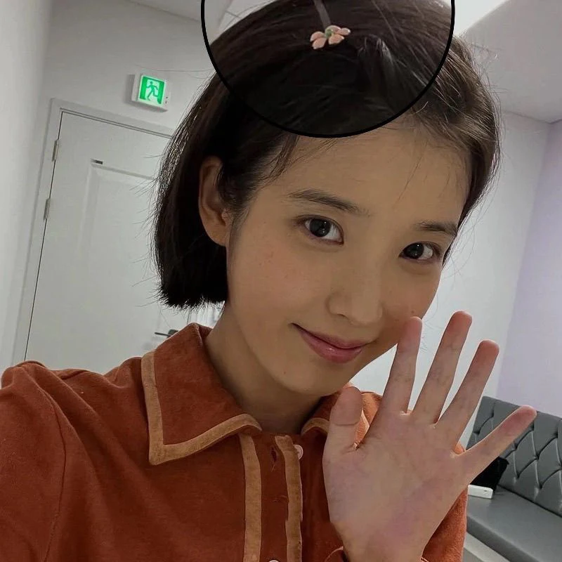 TV Series When Life Gives You Tangerines Lee Ji Eun Cosplay Hairpin Girl IU Cherry Blossom Headwear Sweet Hair Clip Accessories