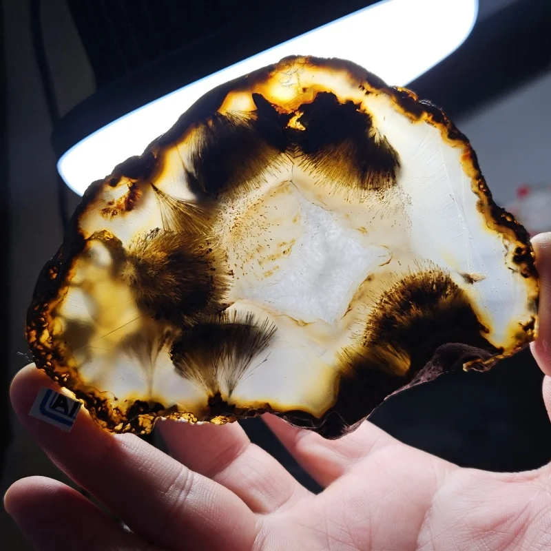 Rough-Surfaced Sliced Natural Madagascar Marine Agate Mineral Specimen Collection Crystal Healing Home Feng Shui Decoration