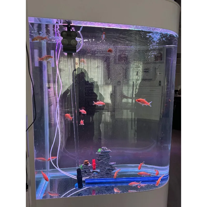 Quick Water Change Aquarium  Fish Tank with Self-cleaning System  Independent Floor-standing Living Room Partition Screen