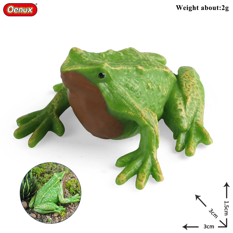 Oenux Reptile Model Mini Wild Ostriches Lizard Chameleon Frog Bird Forest Animals Action Figure Collection Cute Toys Kids Gift