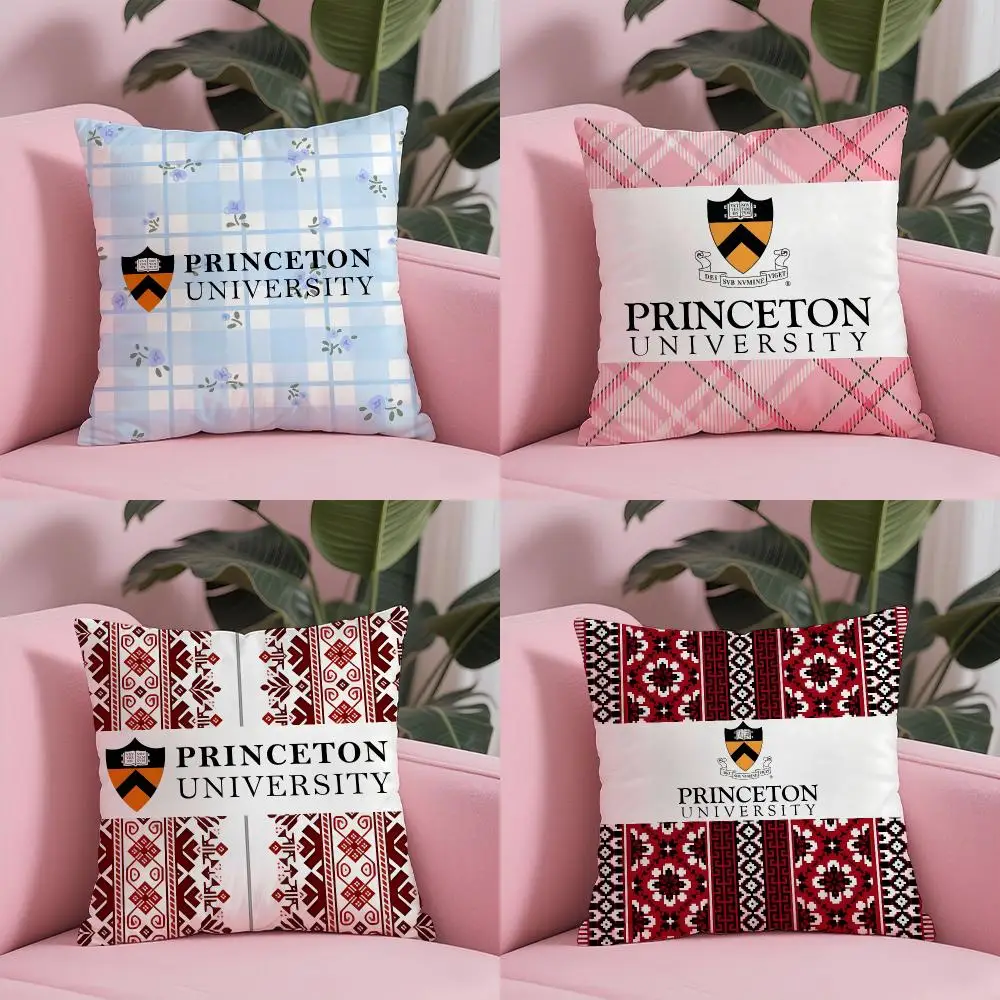 Princeton University Cushion Cover Sofa Cushion Cover Personalized Gift Living Room Home Decor Pillow