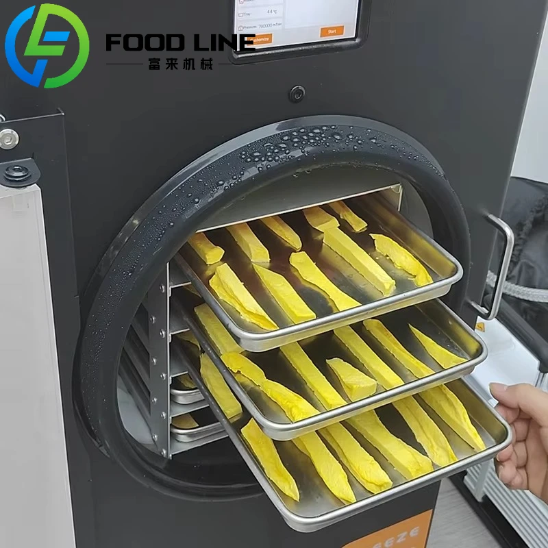 Food Lyophilizer High Quality Mini Freeze Drying Machine Food Fruit Dehydrators Home Freeze Dryer for Sale