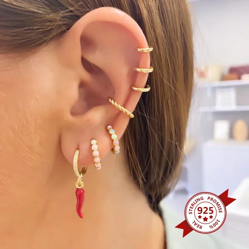 925 Sterling Silver Needle Cute Enamel Fruit Pendant Hoop Earrings for Women Strawberry/Kiwi Fruit/Pepper Gold Earrings Jewelry