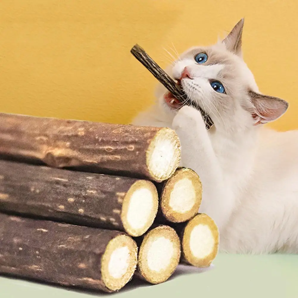 5Pcs Natural Cat Sticks For Cats Natural Catnip Chew Sticks Teeth Molar Chewing Teeth Bite-resistant Toys Pet Toys Products