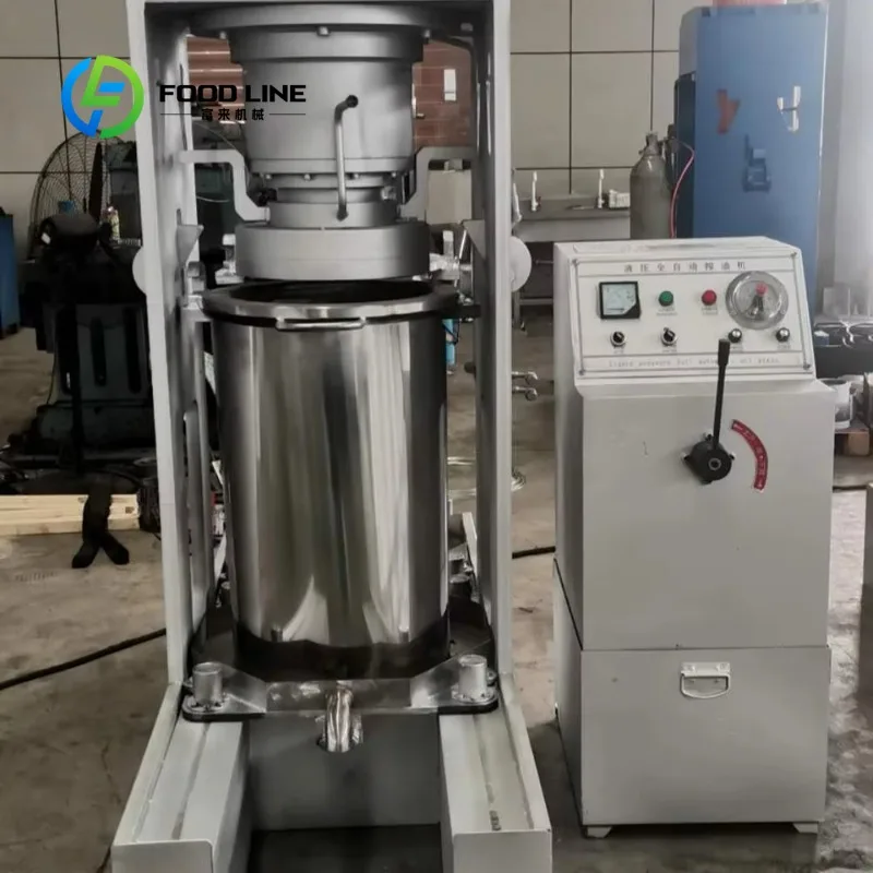Customized Hydraulic Oil Press Machine for Sesame Peanut Oil Extraction