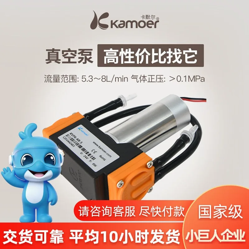Miniature Vacuum 12v Electric Compressor Pump 24V Diaphragm Pump Small Booster Brushless Electric Mini Self-priming Pump