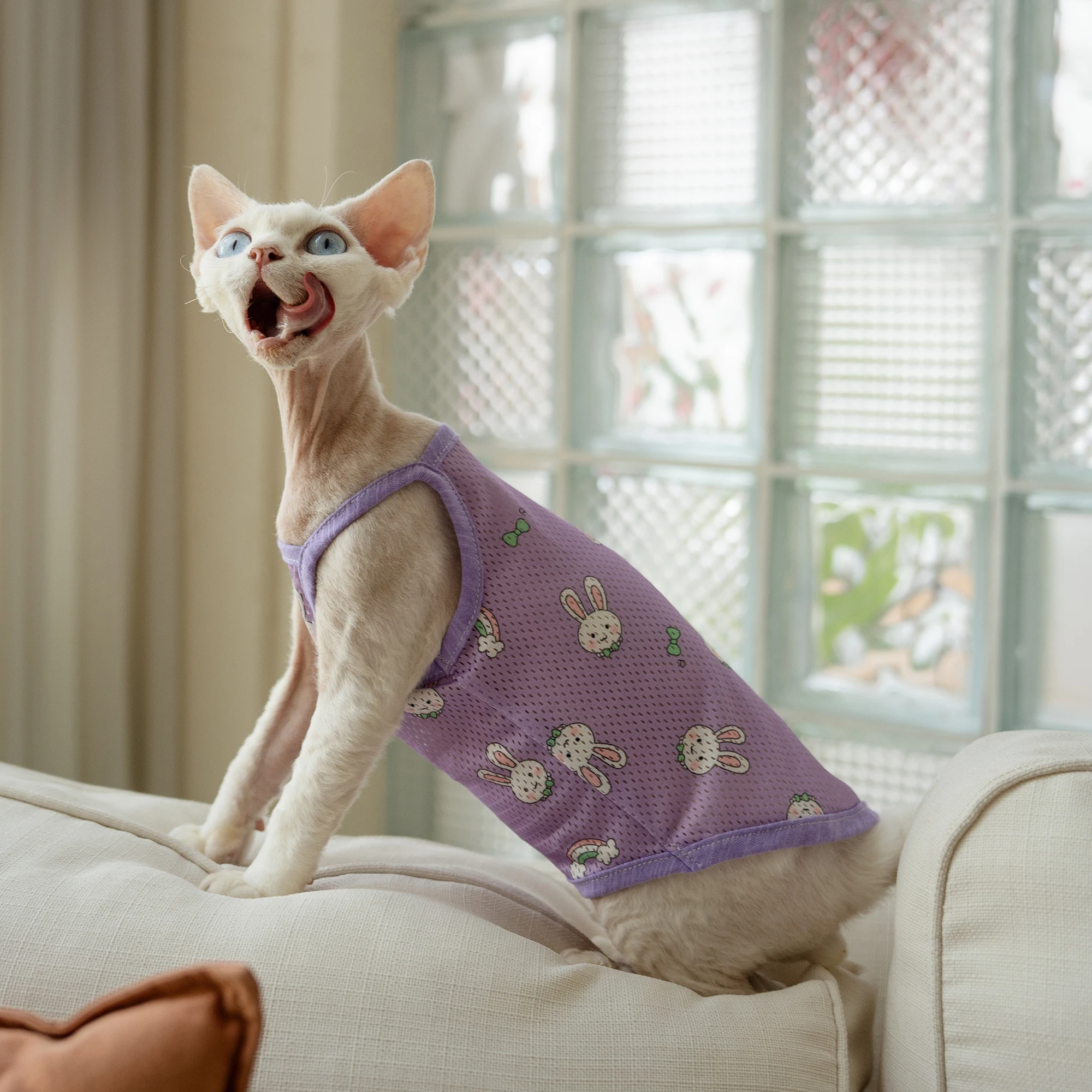 Sphynx Cat Clothes in Summer Cooling T-shirt For Kittens Rabbit breathable Vest For Hireless Cat Devon Rex Sun-protective Coat