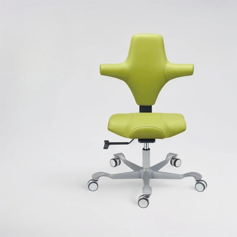 Multifunctional B-ultrasound chair, ergonomic doctor's office ultrasound chair