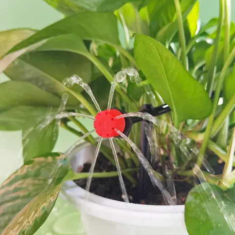 10 best sales बोन्साई को पानी देना - №4