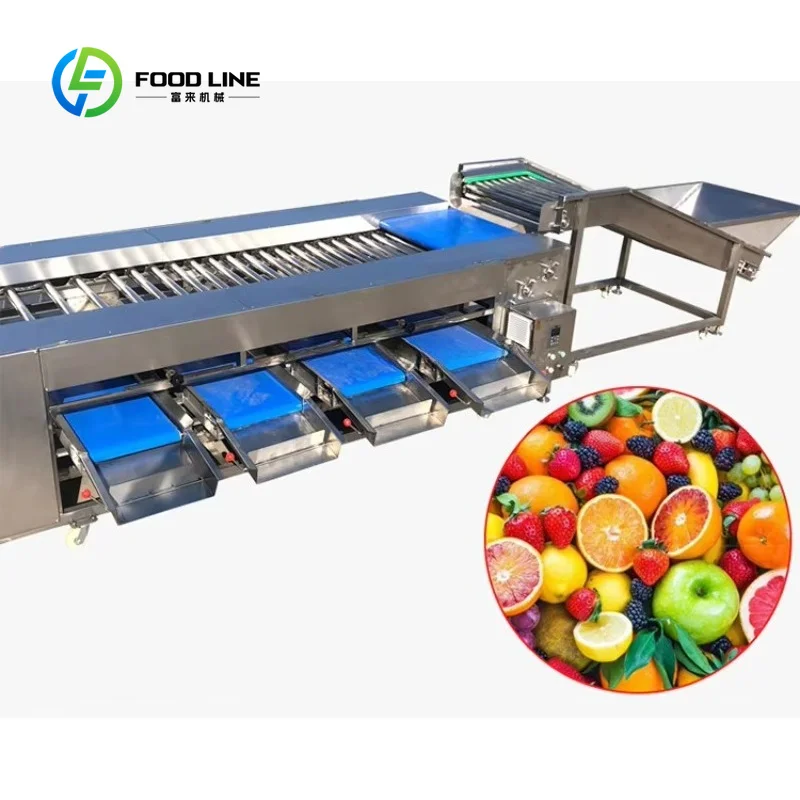 Electronic Fruit Vegetable Sorting Machine Roller Sizer Grader Kiwi Carrot Passion Fruit Strawberry Processing Line Customized