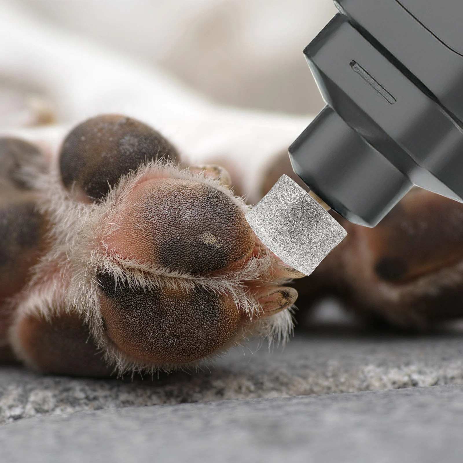 

2pcs Pet Nail Grinding Heads Replacement For Electric Nail Grinder Durable Fine Particle Polisher Wheel Suitable Cat Dog Puppy