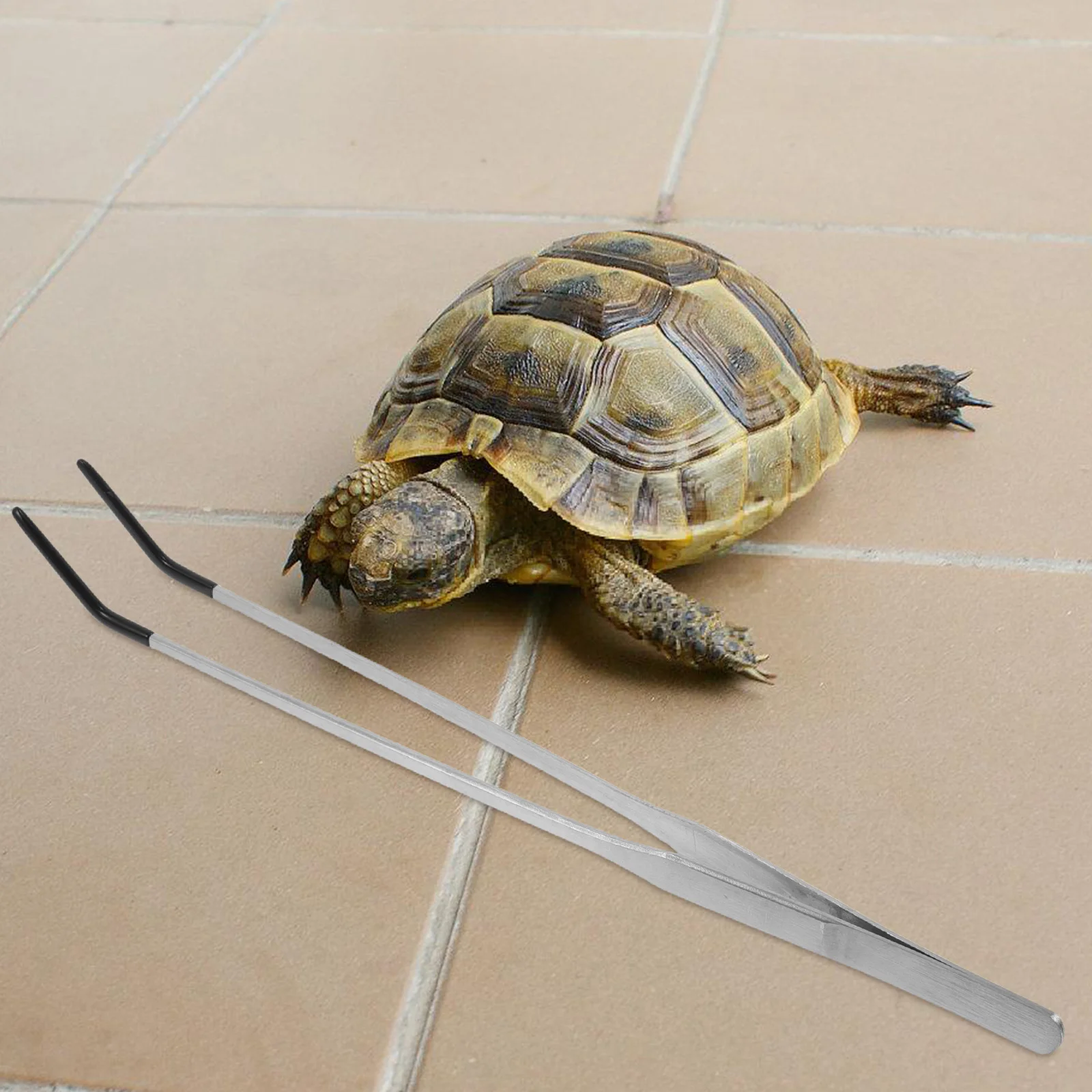 

Pet Feeding Tools Aquarium Tweezers Lizard Tongs Reptiles Feeder Crawling Food Clip Animal Device Supplies