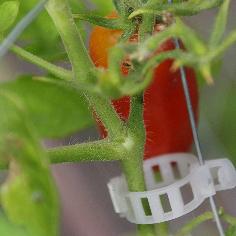 

50pcs Plant Support Clips Garden Vegetable Trellis Vine Tomato Hangers Flower Vineyard Anti-Slip Ventilated Easy Buckle Upright