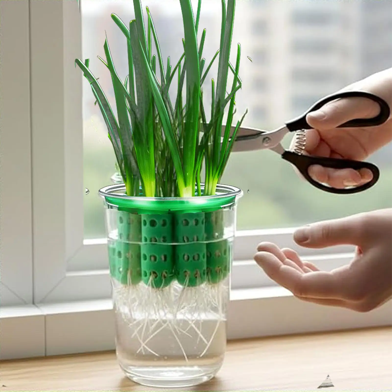 Frühlingszwiebel-Pflanzgefäß, transparent, wiederverwendbar, Hydroponik-System, Frühlingzwiebel-Keimset für Fensterbrett, Garten, Zuhause