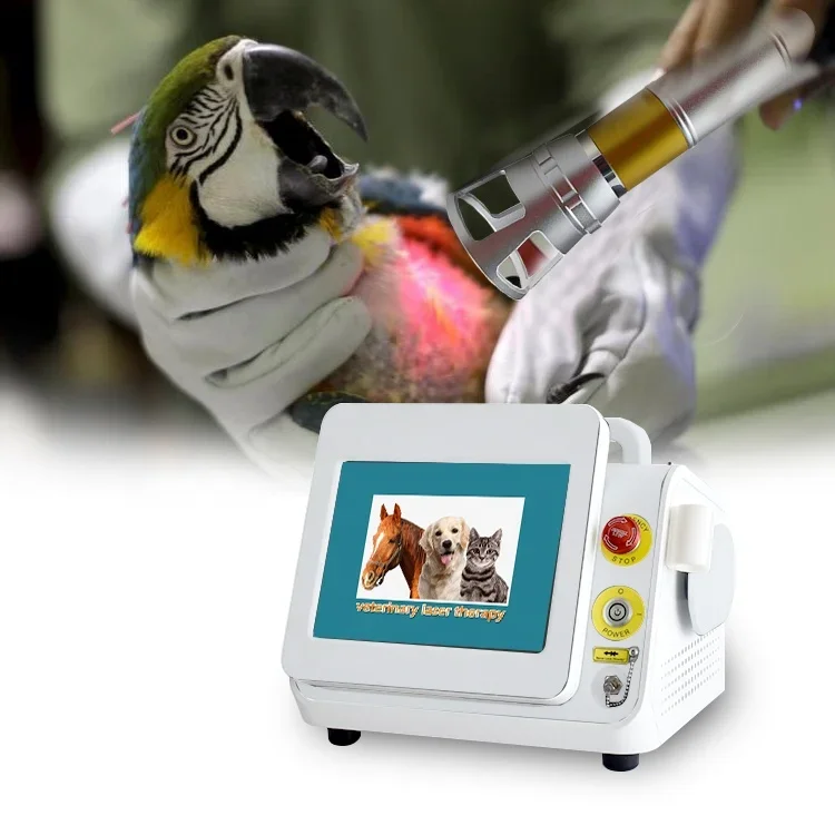 High Intensity 60w Veterinary And Human Use 980nm  Physical Class IV   Rehabilitation Machine