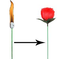 Magic Trick Rose Fun Present Torches Change Roses Magic Tricks Novelty Surprise Prank Joke Mystical Fun Toy