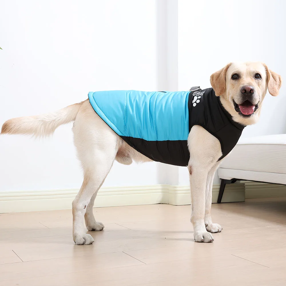 Windproof Dog Jacket Coat