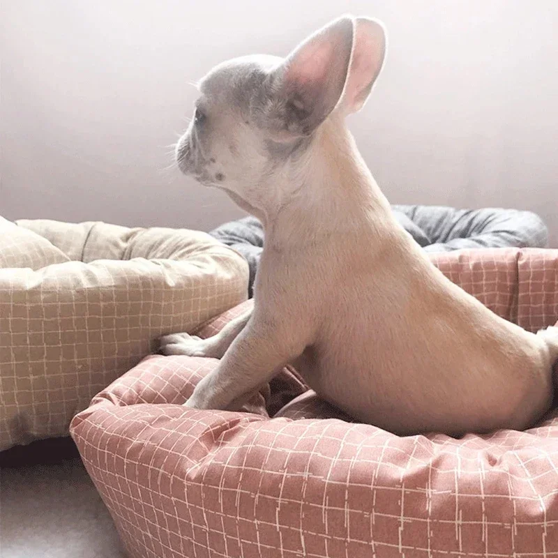 Thumbnail 4 - #33 Washable Puppy Cushions Comparison Guide