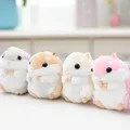 4pcs