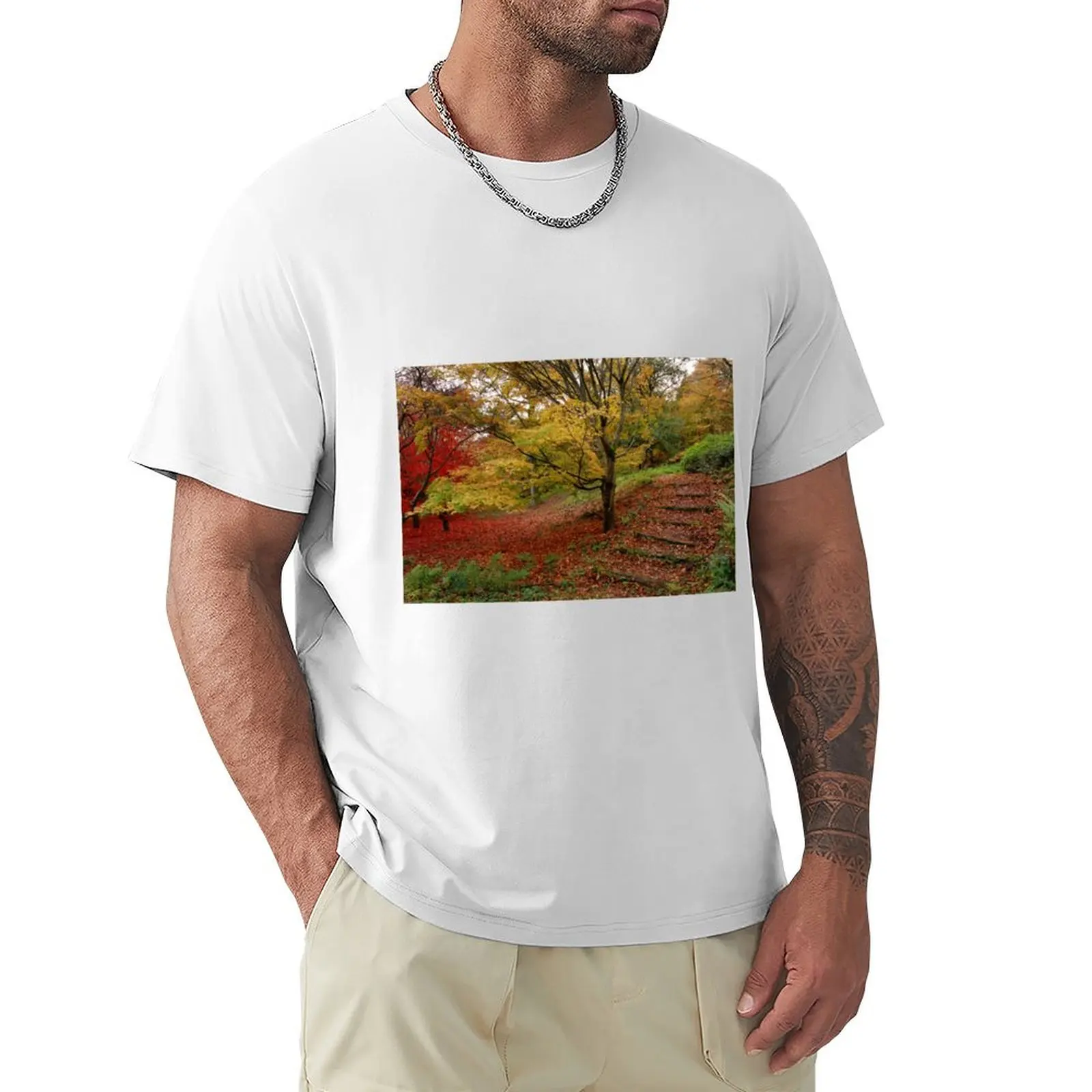 Stairway of fall T-Shirt heavyweights plain hippie clothes customs heavyweight t shirts for men