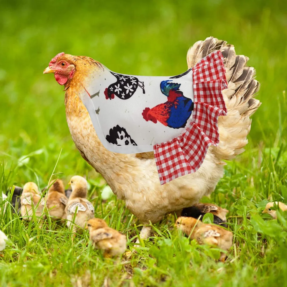 ABNL 4Pcs Standard Chicken Saddle,Chicken Jacket Straps,Hen Apron Feather Fixer With Elastic Strap,Wing Back Protector Suit