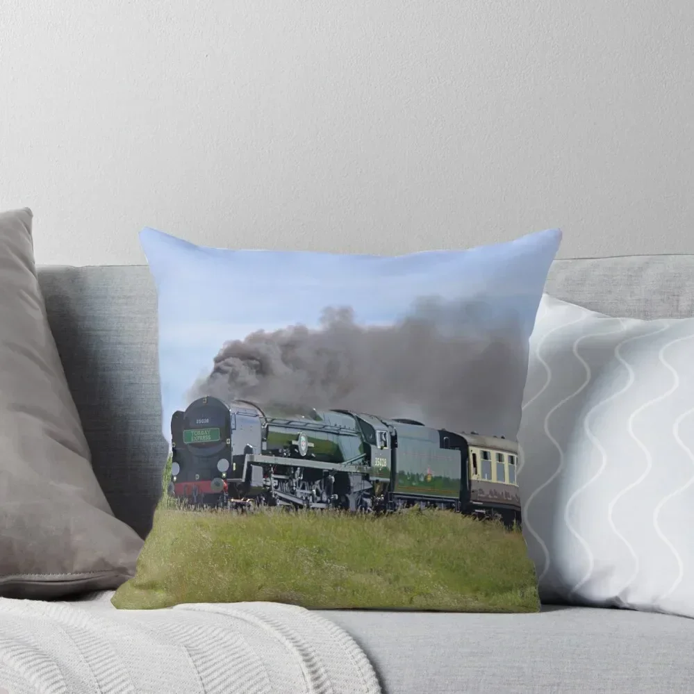 

Green steam train Throw Pillow Cushions For Decorative Sofa autumn decoration Plaid Sofa pillow cover luxury pillow