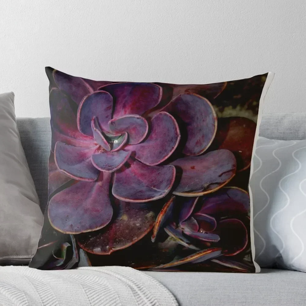 velvet aubergine cactus Throw Pillow sleeping pillows Sofa Pillow Cover pillow