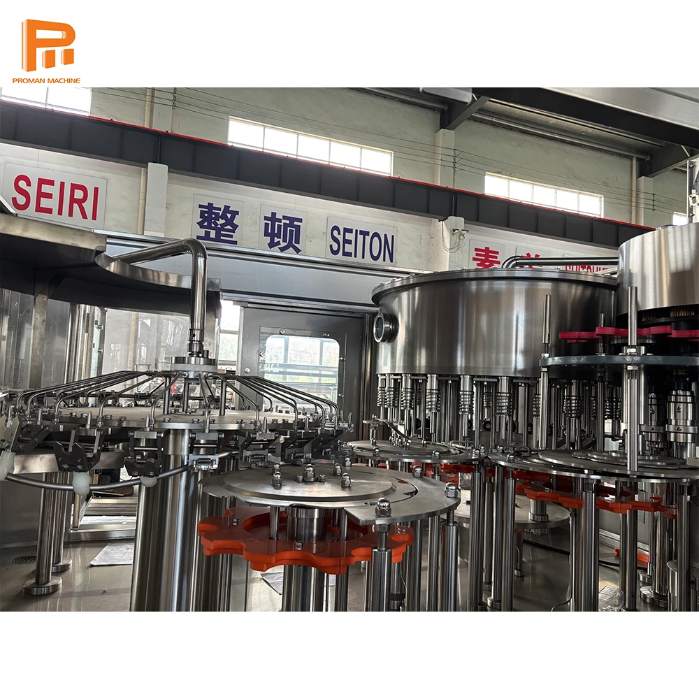 Automatic Bottle Filling Machine Plant Mineral Water Plastic Bottle Washing Filling Capping Drinking Water Machine