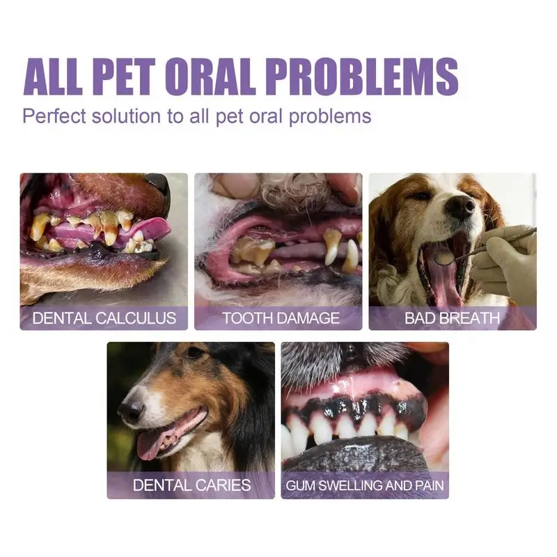 Gel de limpieza de dientes de perro, pasta de dientes para mascotas, desodorante para limpieza de dientes, solución Oral para gatos, ambientador para el aliento de cachorros, suministros, accesorios para mascotas