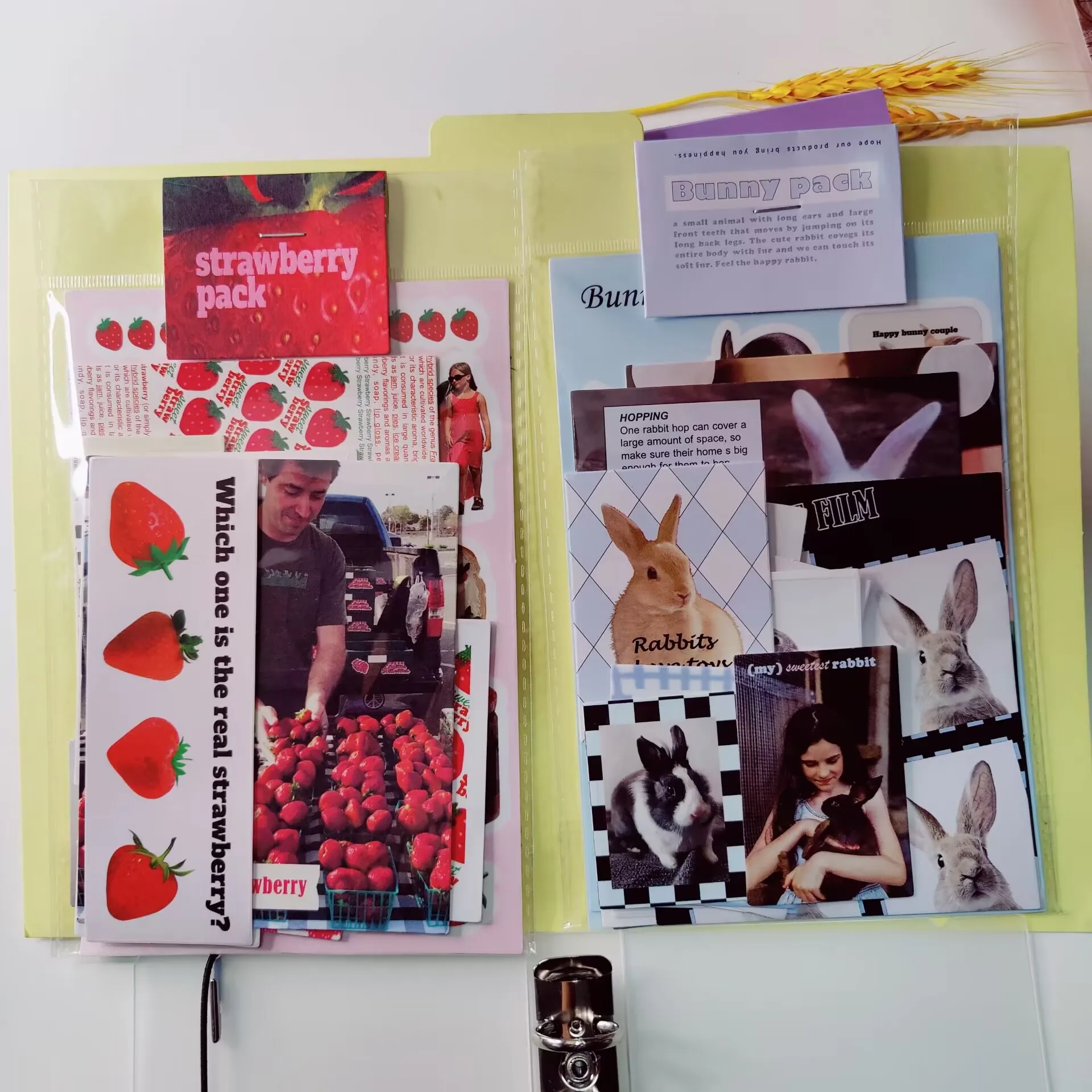 مجموعة ملصقات من قطعتين كورية للزينة من SKYSONIC ملصقات ورقية مواد تغليف مجلة قصاصات ديكور طقم لوازم