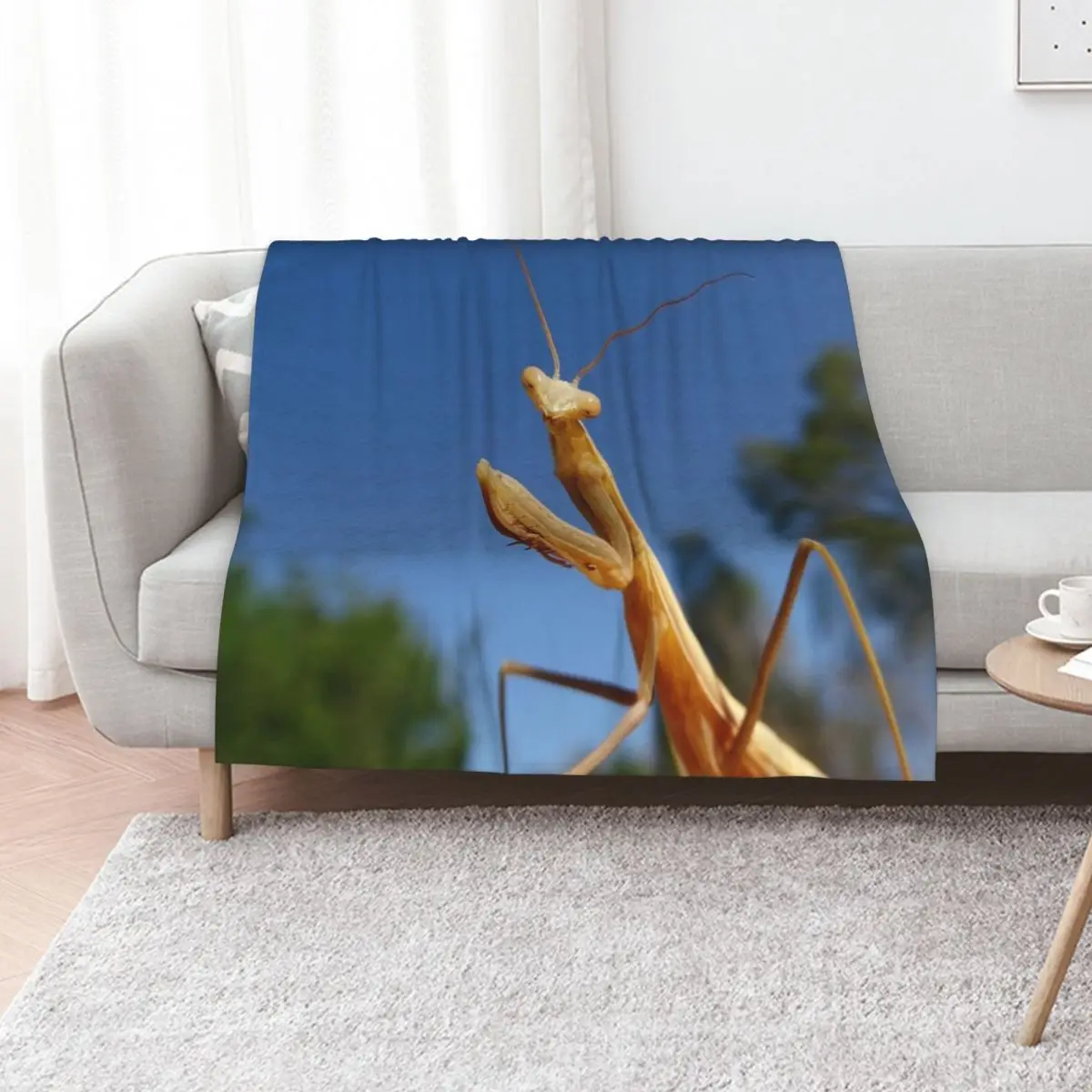 Praying mantis Throw Blanket Moving Custom Plush Soft Beds sofa bed blankets ands Blankets